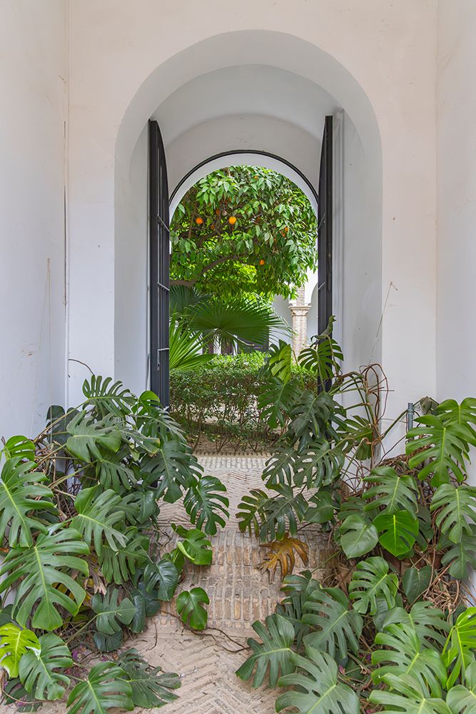 Casco Antiguo, Seville, Andalusia, Spain. Window to a garden at the Alcazar of Seville.